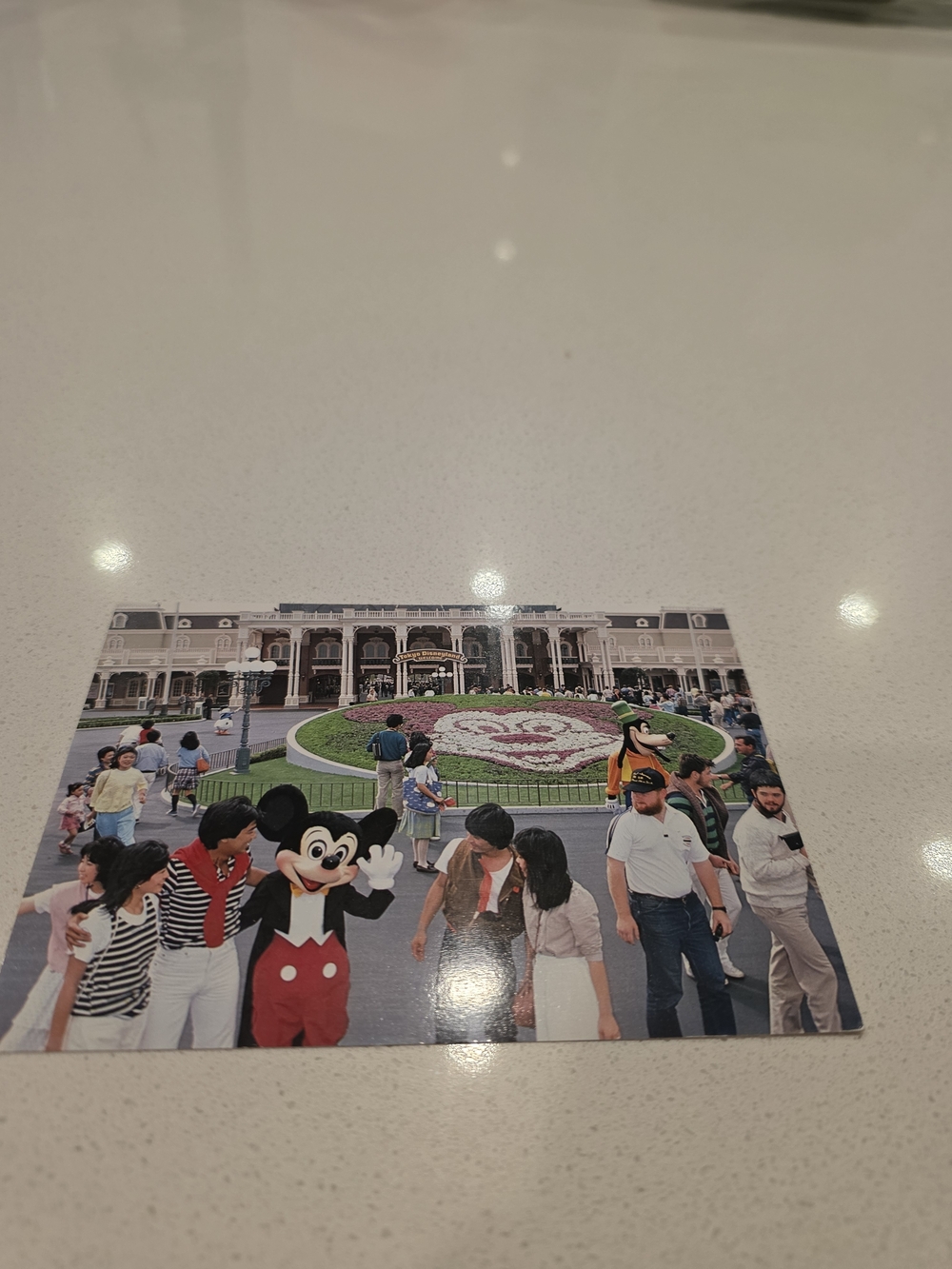 Vintage Tokyo Disneyland Postcard Lot (5) Cinderella Castle Safari Mickey 1980s - Picture 7 of 8